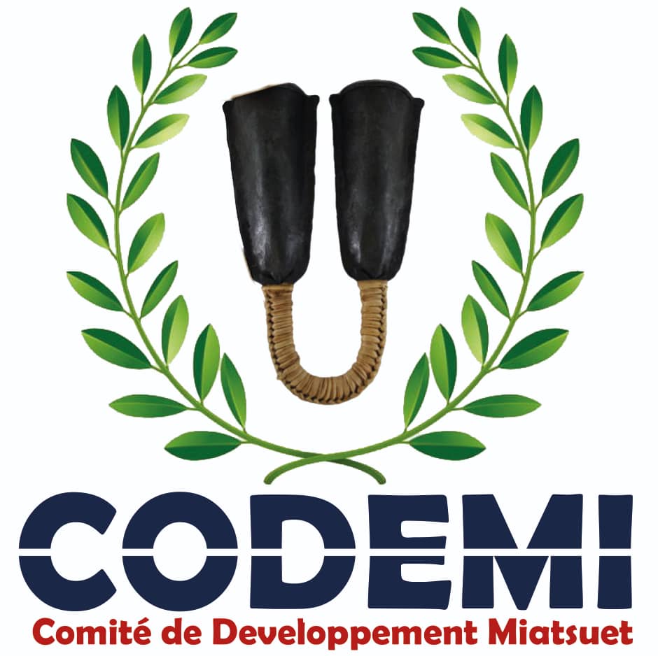 CODEMI